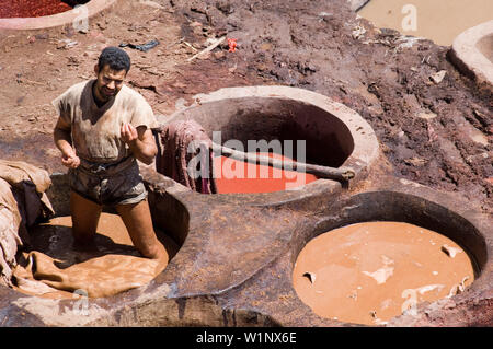 Lavoratore nel trimestre i conciatori, chouara, Fes, Marocco Foto Stock