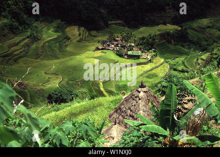 Terrazze di riso e villaggio, Bangaan-Mountain Provincia Luzon, Filippine Foto Stock