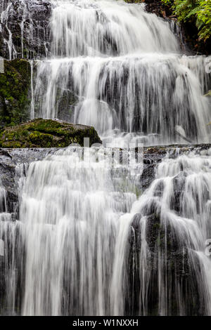 Purakaunui Falls, il Catlins, Isola del Sud, Nuova Zelanda Foto Stock