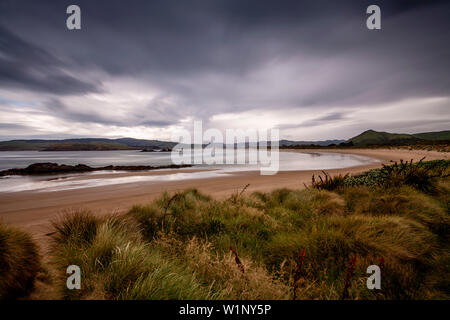 Surat Bay, il Catlins, Isola del Sud, Nuova Zelanda Foto Stock