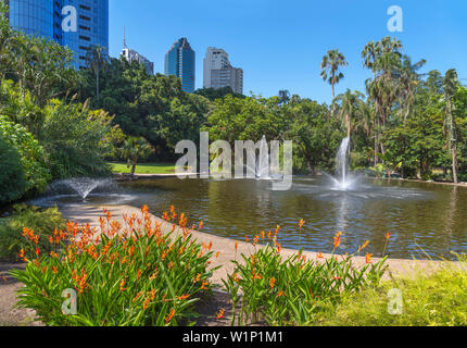 Oakman la laguna nella città di Brisbane Botanic Gardens, Brisbane, Queensland, Australia Foto Stock