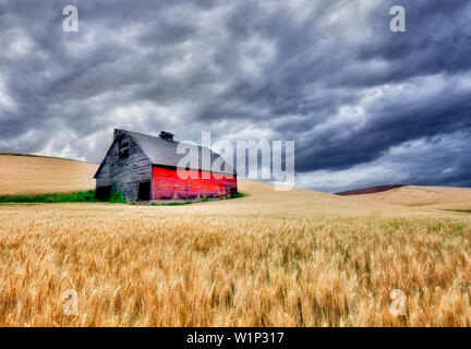 Fienile nel campo di grano con avvicinamento nuvole temporalesche. Il Palouse, Washington Foto Stock