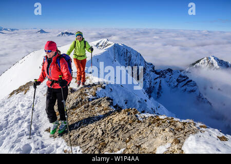 Due donne sci backcountry salendo verso Hinteres Sonnwendjoch, nebbia nella valle, Hinteres Sonnwendjoch, Alpi Bavaresi, Tirolo, Austria Foto Stock