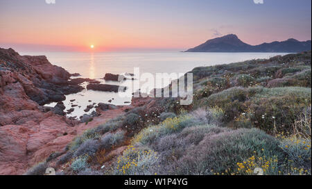 Atmosfera serale a Capu rossu, d'Arone, Corsica, Francia Foto Stock