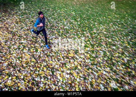 Giovane uomo che corre su un prato coperto di foglie, Allgaeu, Baviera, Germania Foto Stock