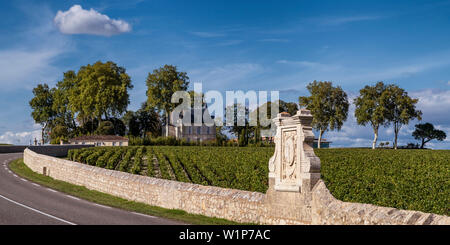 Chateau Latour, vigneti nel Medoc, Bordeaux, Gironde, Aquitania, in Francia, in Europa Foto Stock