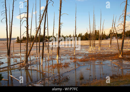 Tramonto a minore Geyser Basin , Fontana vaso di vernice , il Parco Nazionale di Yellowstone , Wyoming , U.S.A. , America Foto Stock