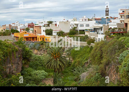 Vista sulla rigogliosa vegetazione a Buenavista del Norte, Tenerife, Isole Canarie, Islas Canarias, Oceano Atlantico, Spagna, Europa Foto Stock