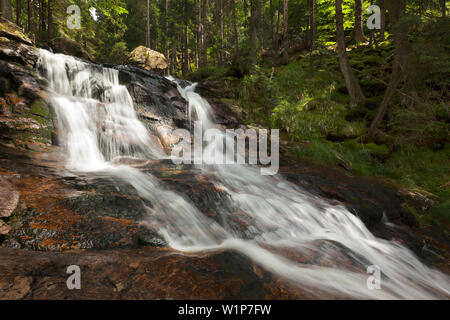Rissloch cascata, nei pressi di Bodenmais, Foresta Bavarese, Baviera, Germania Foto Stock