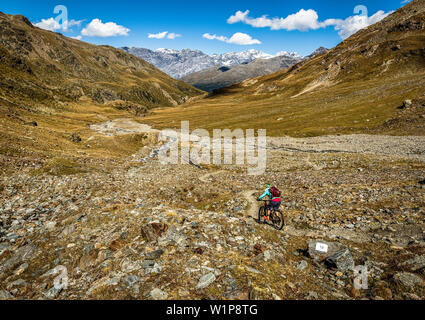 Giovane donna corse in mountain bike attraverso un'alta valle alpina con cielo blu chiaro, Bormio, Lombardia, Italia Foto Stock