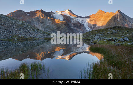 Wilder Freiger, grünau, Alpi dello Stubai, Tirolo, Austria Foto Stock