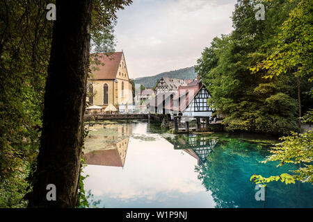 Il "Blautopf" a Blaubeuren, vista sul monastero, mulino a martelli e histroic town center, Alb Distretto del Danubio, Svevo, Baden-Wuerttemberg, Germania Foto Stock