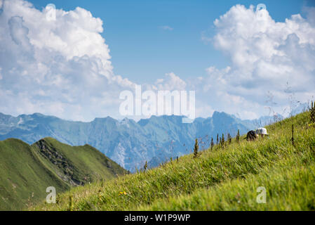 Escursioni sul Fellhorn ridge, panorama di montagna, sentieri escursionistici, estate, Oberstdorf, Oberallgaeu, Germania Foto Stock