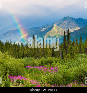 Rainbow al di sopra della foresta del Lago Kluane, Yukon Territory, Canada Foto Stock