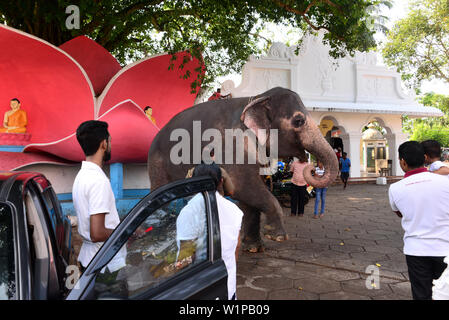 Al Buddha-Temple Aluthgama vicino Beruwela, la Westcoast, Sri Lanka Foto Stock