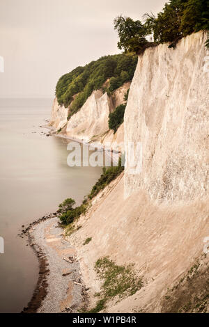 Patrimonio Mondiale UNESCO vecchi oliveti di faggio di Germania, Jasmund National Park, chalk cliffs di Ruegen Isola, Meclemburgo-Pomerania Occidentale, Germania Baltic S Foto Stock