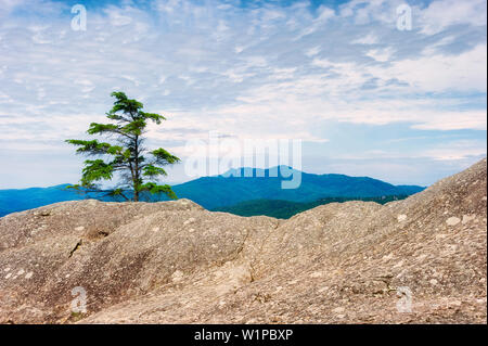 La vista su un bordo roccioso lungo la Blue Ridge Parkway Nationa Park in North Carolina. Foto Stock