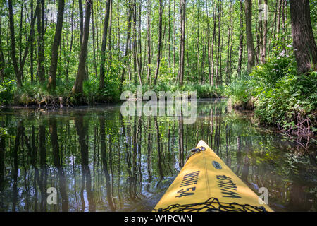 Tour in kayak in estate lungo il fiume Spree, Spreewald, riserva della biosfera, paesaggio culturale, Sprea, Brandeburgo, Germania Foto Stock