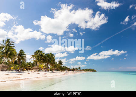 Spiaggia da sogno a Cayo Levisa, nuoto, vacanza in spiaggia, turisti, solitaria spiaggia a Cayo Levisa, piccola e bella spiaggia di sabbia, mare blu turchese, Palm tree Foto Stock