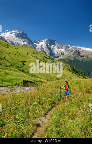 Donna escursionismo sul percorso attraverso il prato con vista verso la Meije nella regione di Ecrins, Parco Nazionale degli Ecrins, Dauphine, Dauphiné, Hautes Alpes, Francia Foto Stock