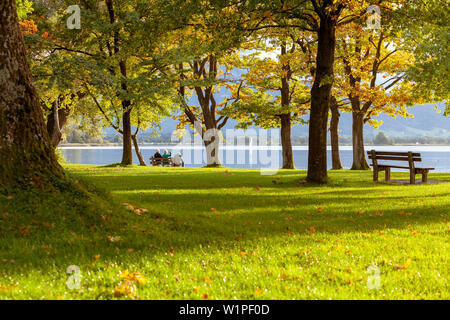 Tre persone anziane seduto sotto grandi alberi su una panchina nel parco e si affacciano sul lago Chiemsee Foto Stock