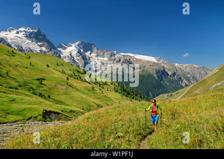 Donna escursionismo sul percorso attraverso il prato con vista verso la Meije nella regione di Ecrins, Parco Nazionale degli Ecrins, Dauphine, Dauphiné, Hautes Alpes, Francia Foto Stock