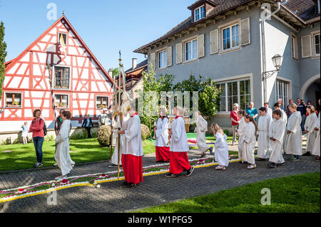 Il Corpus Domini, la festa del Corpus Domini, processione, Sipplingen, Lago di Costanza, Baden-Wuerttemberg, Germania, Europa Foto Stock