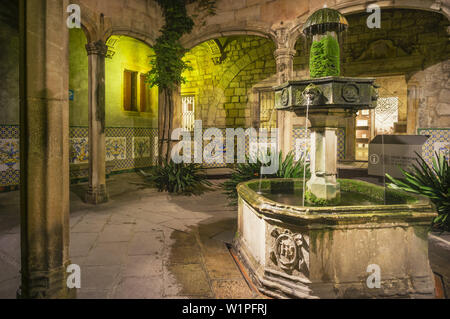 Arxiu Històric de la Ciutat de Barcelona, Archivio Storico della città di Barcellona, il cortile dell'Arcidiacono's House , founbtain, Barcellona, Spa Foto Stock