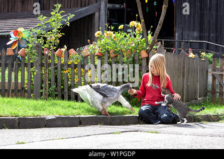 Ragazza bionda si siede di fronte a cottage gardens e gioca con oche e un gatto Foto Stock