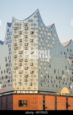 Concert hall Elbphilharmonie sul fiume Elba, HafenCity, città anseatica di Amburgo, Germania settentrionale, Germania, Europa Foto Stock