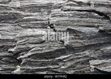 Rocce metamorfiche background - gneiss texture in Nuova Zelanda Foto Stock