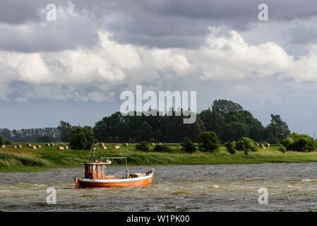 Legno di piccole barche da pesca sulla isola Ummanz, Mar Baltico, Meclemburgo-Pomerania Germania Foto Stock