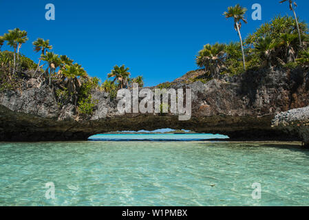 Un basso arco in pietra sopra l'acqua turchese e coperto da alberi e piante collega due segmenti di una isola, Isola Fulaga, Lau Group, Figi, Sud Pacifi Foto Stock