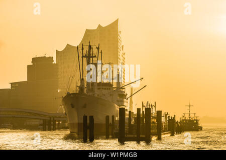 Sunrise nel porto di Amburgo con vista a la storica nave e i Elbphilharmonie, Amburgo, Germania Foto Stock