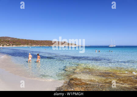 Spiaggia Plage de Loto nel deserto dello Agriates, vicino a Saint-Florent, Corsica, Francia meridionale, Francia, Europa meridionale Foto Stock