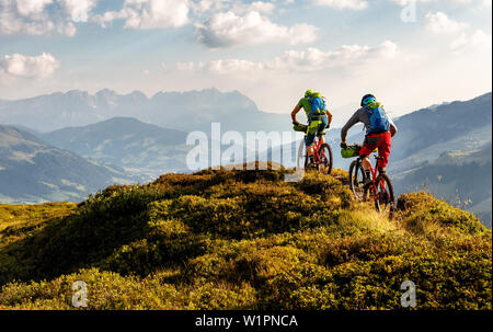 Due mountain bike sono a cavallo su una collina ricoperta sulle Alpi di Kitzbühel, catena montuosa di Wilder Kaiser in background, Kirchberg, Tirolo, Austria Foto Stock