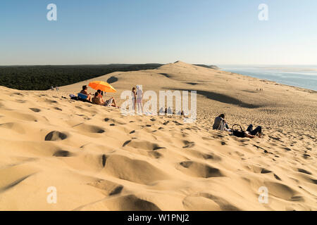 Vista dalla duna di Pilat (La Grande Dune du Pilat), la più alta duna in Europa Foto Stock