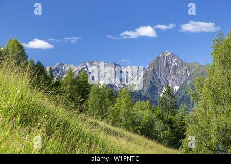 Tristner montagna delle Alpi della Zillertal, Mayrhofen, Tirolo, Austria, Europa Foto Stock