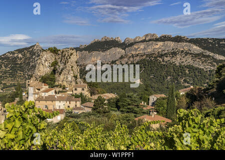 Viticoltura, La Roque Alric, Montmirail Pizzi, Vaucluse Francia, Europa Foto Stock