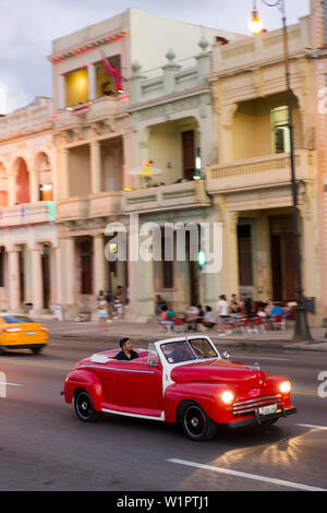 Red oldtimer, cabriolet, turisti, guidando lungo il Malecon, taxi, centro storico, centro città vecchia Habana Vieja, Centro Habana, famiglia viaggi a Cuba, h Foto Stock