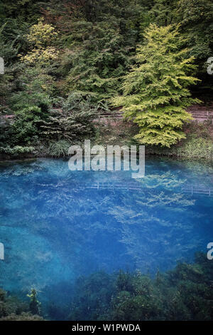 Il "Blautopf" a Blaubeuren, Alb Distretto del Danubio, Svevo, Baden-Wuerttemberg, Germania Foto Stock