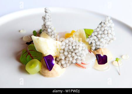 Champagne astice, foi gras, uva, verjuice gel e seppia tapioca servita presso il qualia Foto Stock