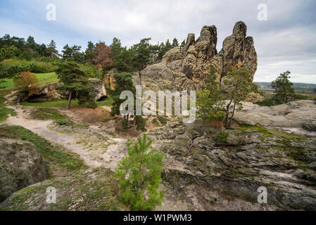 Roccia Arenaria formazione Hamburger Wappen, la luce del mattino, Timmenrode, Blankenburg, Harz District, Sassonia-Anhalt, Germania, Europa Foto Stock