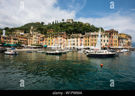 Villaggio con case colorate e Harbour, Portofino Liguria, Italia Foto Stock