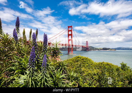 Golden Gate Bridge di San Francisco, California, Stati Uniti d'America Foto Stock