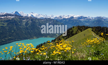 Vista da Augstmatthorn oltre il lago Brienzer vedere delle montagne dell'Eiger, Mönch e Jungfrau, Alpi Oberland Bernese, Svizzera, Europa Foto Stock