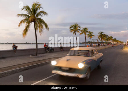 Oldtimer guidando lungo il Malecon di Cienfuegos, punto di incontro di sera e di notte, vita notturna, vuoto street, Palm tree, città coloniale, famiglia Foto Stock