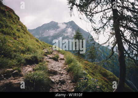 Sentiero di montagna direzione Memminger Hütte, E5, Alpenüberquerung, seconda fase, Lechtal, Kemptner Hütte a Memminger Hütte, Tirolo, Austria, Alpi Foto Stock