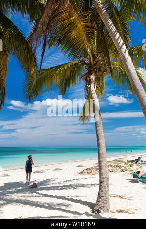 Spiaggia da sogno a Cayo Levisa, nuoto, vacanza in spiaggia, turisti, solitaria spiaggia a Cayo Levisa, piccola e bella spiaggia di sabbia, mare blu turchese, Palm tree Foto Stock