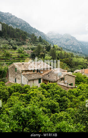 Villaggio di montagna con piantagioni di agrumi, Fornalutx, Serra de Tramuntana, Maiorca, isole Baleari, Spagna Foto Stock